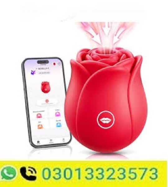 Big Shocked Sex Toys Rose Sex Toy Vibrator In Pakistan