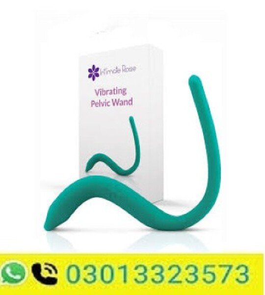 Vibrating Pelvic Wand In Pakistan